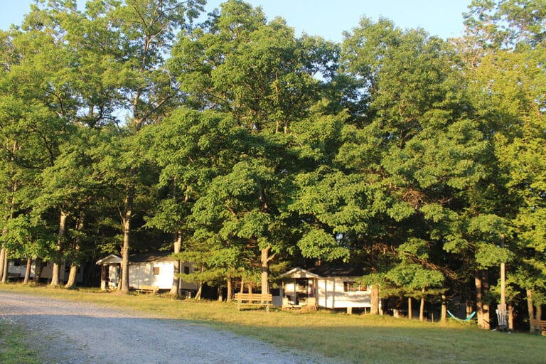 Camp Area