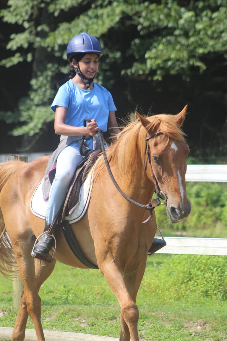 Best Summer Horse Riding Camps