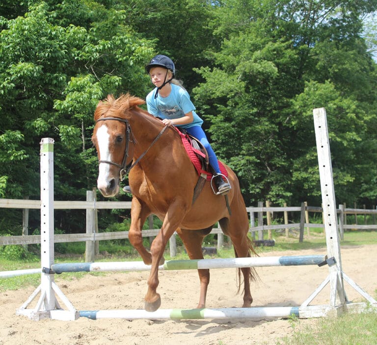 A girl learning a horse riding